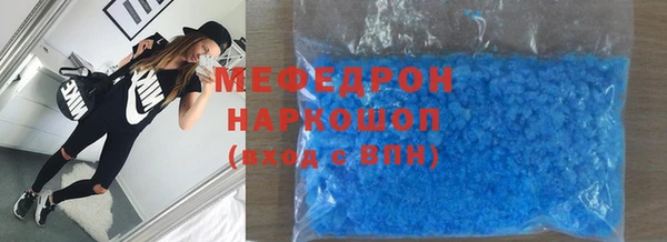 индика Богородицк