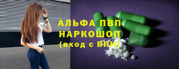 индика Богородицк