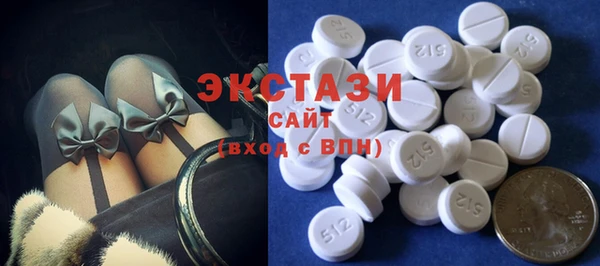 индика Богородицк