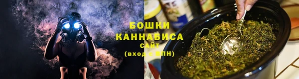индика Богородицк