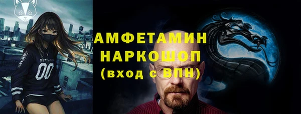 индика Богородицк
