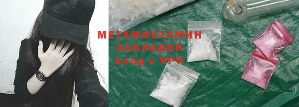 индика Богородицк