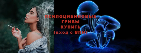 индика Богородицк