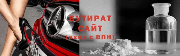 шишки Слюдянка