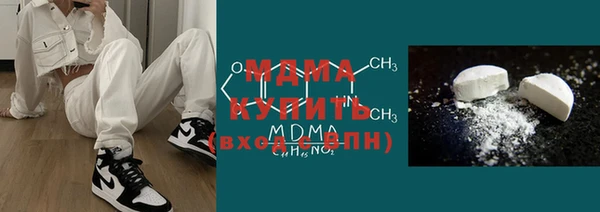 индика Богородицк