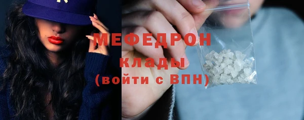 индика Богородицк