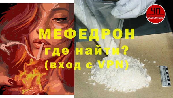 индика Богородицк