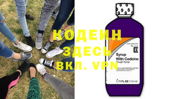 индика Богородицк
