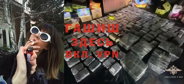 индика Богородицк
