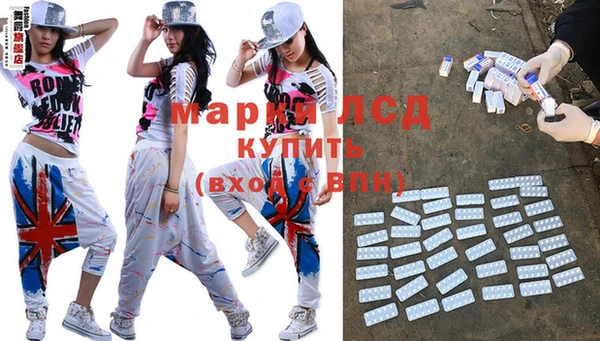 индика Богородицк