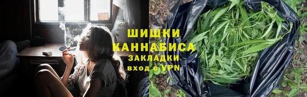 индика Богородицк