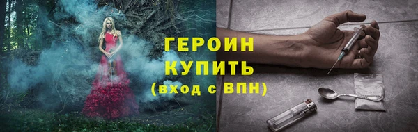 индика Богородицк